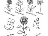 Easy to Draw Plants Pin by Buggiecreations On Art Easy Flower Drawings Simple