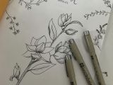 Easy to Draw Plants Plants Doodles Plants Draw Botanical