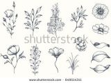 Easy to Draw Plants Vector Collection Of Hand Drawn Plants Botanical Set Of