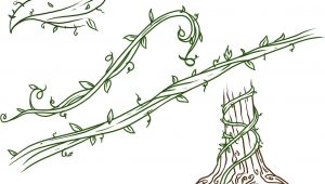 Easy Vine Drawings Drawings Of Flowers Leaves and Vines to Draw Vines Step by Step