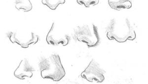 Easy Way to Draw A Nose How to Draw Noses Nose Drawing Drawings Sketches