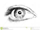 Eyes Drawing Black and White Hand Drawing Eye On A White Background Stock Illustration