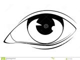 Eyes Drawing Black and White Human Eye In Black and White Stock Vector Illustration Of Eyeball