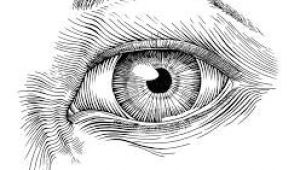Eyes Nature Drawing Resultado De Imagen Para Pen Sketches Of Nature Moleskine C E A E