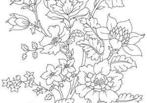 Flower Motifs Drawing Flowers Embroidery Line Drawings and Patterns
