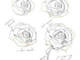 Flowers Drawing Manga Pin by Ellaine On Calligraphy Pinterest Drawings Art Drawings