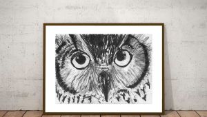 Forest Animals Drawing original Owl Drawing Nursery forest Birds Illustration Owl