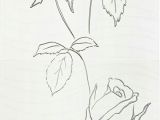Free Line Drawings Of Roses Pilch Dekor Inez 2 120×60 Kpl Gat I Dostawa Gratis Od 900 Za