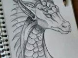 Full Body Dragon Drawing Easy 92 Best Dragon Drawings Images Dragon Dragon Art Drawings
