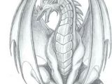 Full Body Dragon Drawing Easy 967 Best Dragon Drawings Images Dragon Drawings Dragon Art