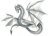 Full Body Dragon Drawing Easy Easy Dragon Dragon Sketch Realistic Dragon Dragon