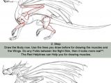 Full Body Dragon Drawing Easy How to Draw Dragons Part One by Sheranuva Dragon Sketch