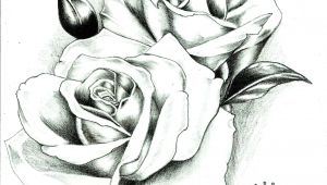 Good Drawings Of Roses Sad Rose Afg 04 Drawing Tattoos Picture Tattoos Tattoo Photos