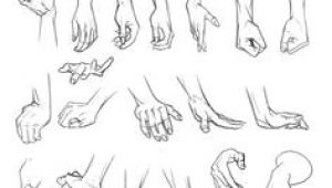 Grabbing Hands Drawing 170 Best Drawing Reference Arms Hands Images Sketches Drawing