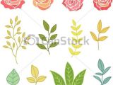 Graphic Drawings Of Flowers Hand Drawn Botany Set Of Flowers and Leaves Vector Stock
