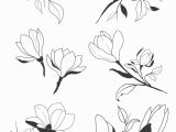 Graphic Drawings Of Flowers Hand Sketched Magnolia Design Elements Vector Graphic M In 2019