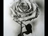 Hand Drawing Rose Flowers 25 Beautiful Rose Drawings and Paintings for Your Inspiration