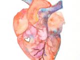 Heart Drawing Watercolor Anatomy Of Love Human Heart Watercolor Print Diy Inspiration