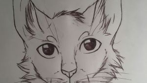Here S A Drawing Of A Cat Here S some Random Cat A My Art A Pinterest Random