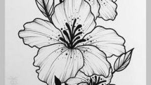 Hibiscus Drawing Easy Ink or Line Drawing Beautiful Flower Drawings Drawings