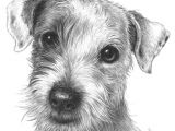 How to Draw A Dog Nose Easy Drawspace Com Overview isaac the Jack Russell Dog Art