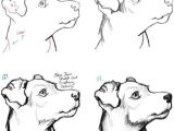 How to Draw A Dog Realistic but Easy 58 Ideas Dogs Face Drawing Animals Dogs Drawing In 2019