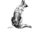 How to Draw A German Shepherd Easy German Shepherd Dog Sketch Fine Art Dog Print Gsd Gift