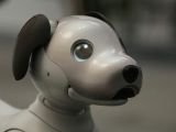 How to Draw A Robot Dog Easy Meet Aibo the Robot Dog From sony