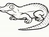 How to Draw An Easy Crocodile Crocodiles Colour Drawing Hd Wallpaper Colorful Drawings