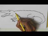 How to Draw An Easy Crocodile Videos Matching How to Draw Quick Draw Mcgraw Easy Draw