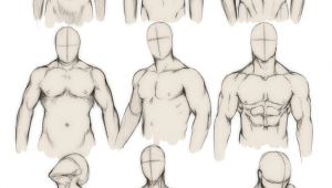 How to Draw Anime Muscles How to Draw the Human Body Study Male Body Types Comic
