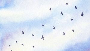 How to Draw Birds In the Sky Easy original Painting Watercolor Birds In Morning Sky by