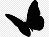 How to Draw Cartoon Anime Cartoon Nature butterfly Insect Scarlet Mormon Animal