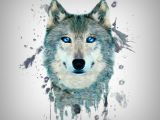 Images Of A Drawing Of A Wolf Fractal Wolf Wallpaper by S 0d Free On Zedgea