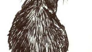 Ink Drawing Of A Cat Cat Ink Drawings Google Search Cat Art Pinterest Cats Cat
