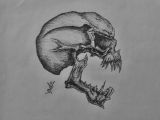 Kookaburra Drawing Easy Cooooooooooooooolest Skull Paintings Sketches Art Painting