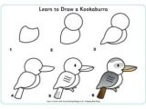 Kookaburra Drawing Easy Learn to Draw A Kookaburra In 2019 Drawings Bird Drawings