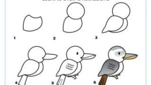 Kookaburra Drawing Easy Learn to Draw A Kookaburra In 2019 Drawings Bird Drawings