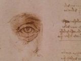 Leonardo Da Vinci Drawings Of Hands 339 Best Leonardo Davinci Images Drawing S Da Vinci Sketches