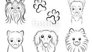 Line Drawing Of A Dog Head Fotolia Comi I E I I I E E I Dog Line Drawing by Keko Ka E
