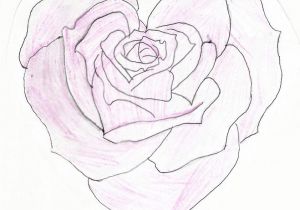 Line Drawing Of A Heart Shape Heart Shaped Rose Drawing Heart Shaped Rose by Feeohnah Art