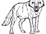 Line Drawing Of A Wolf Head Vector Sketch Of A Wolf Stock Vector Illustration Of Face 96604247