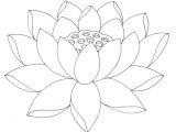 Line Drawing Of Lotus Flower Image Result for Lotus Line Drawing Lotus Lines Pinterest