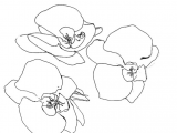Line Drawings Of Roses Brookes Delirium Outklasse I Love Line Drawings Inspiration