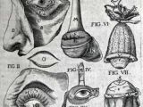 Medical Drawing Of An Eye 236 Best Vintage Medical Illustrations Images Human Anatomy