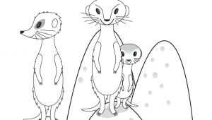 Meerkat Drawing Easy Image Result for Meerkat Drawing Kids Erdmannchen