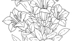 Nature Drawing Flowers with Colour Download and Print Realistic Flowers Coloring Pages for the top