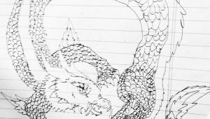 Old Drawings Of Dragons Young 11 Year Olds Dragon Drawing Young Artist Drawings