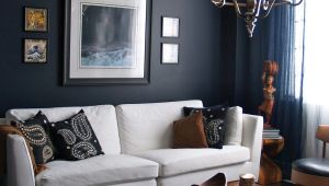 P S Drawing Room 15 Beautiful Dark Blue Wall Design Ideas Living Room Designs