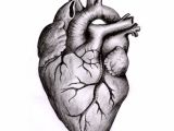 Pencil Drawing Of A Human Heart Anatomically Correct Human Heart by Niku Arbabi Embroidery